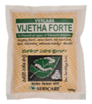 VIJETHA FORTE